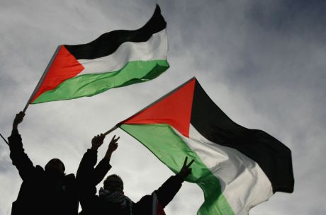 Issue Free Palestine, free the world