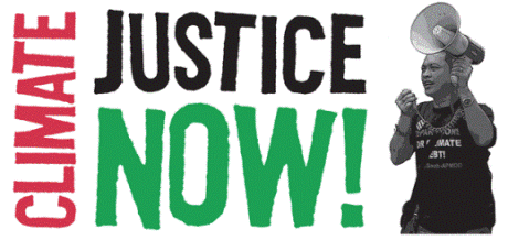 Issue From Copenhagen to Paris: the climate justice movement rises