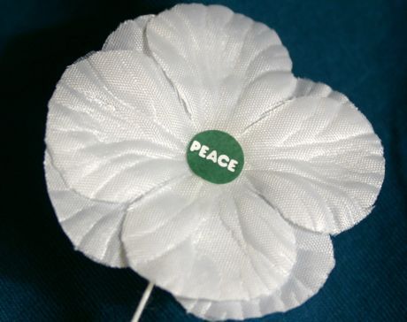 Issue To remember is to end all war