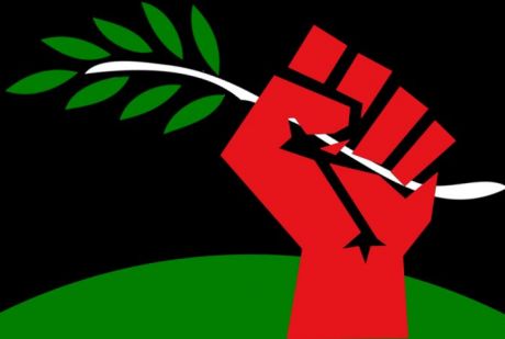 Issue It can’t happen here? Green Party sabotages ecosocialist challenge
