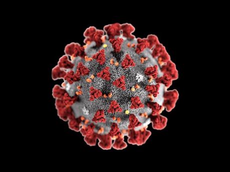 Issue International Socialist tendency statement on the coronavirus