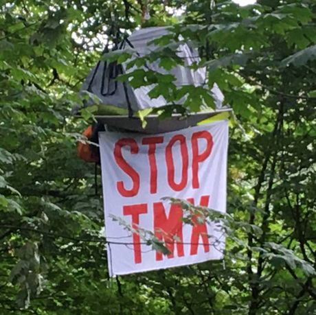 Issue Who is Tim Takaro? Why is he in a tree?