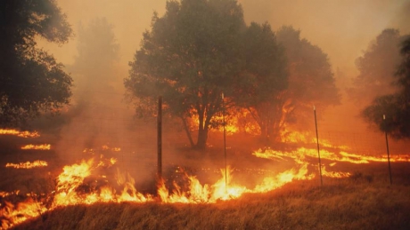 Issue Billions for pipelines while the world burns